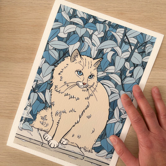 Angora Cat art print