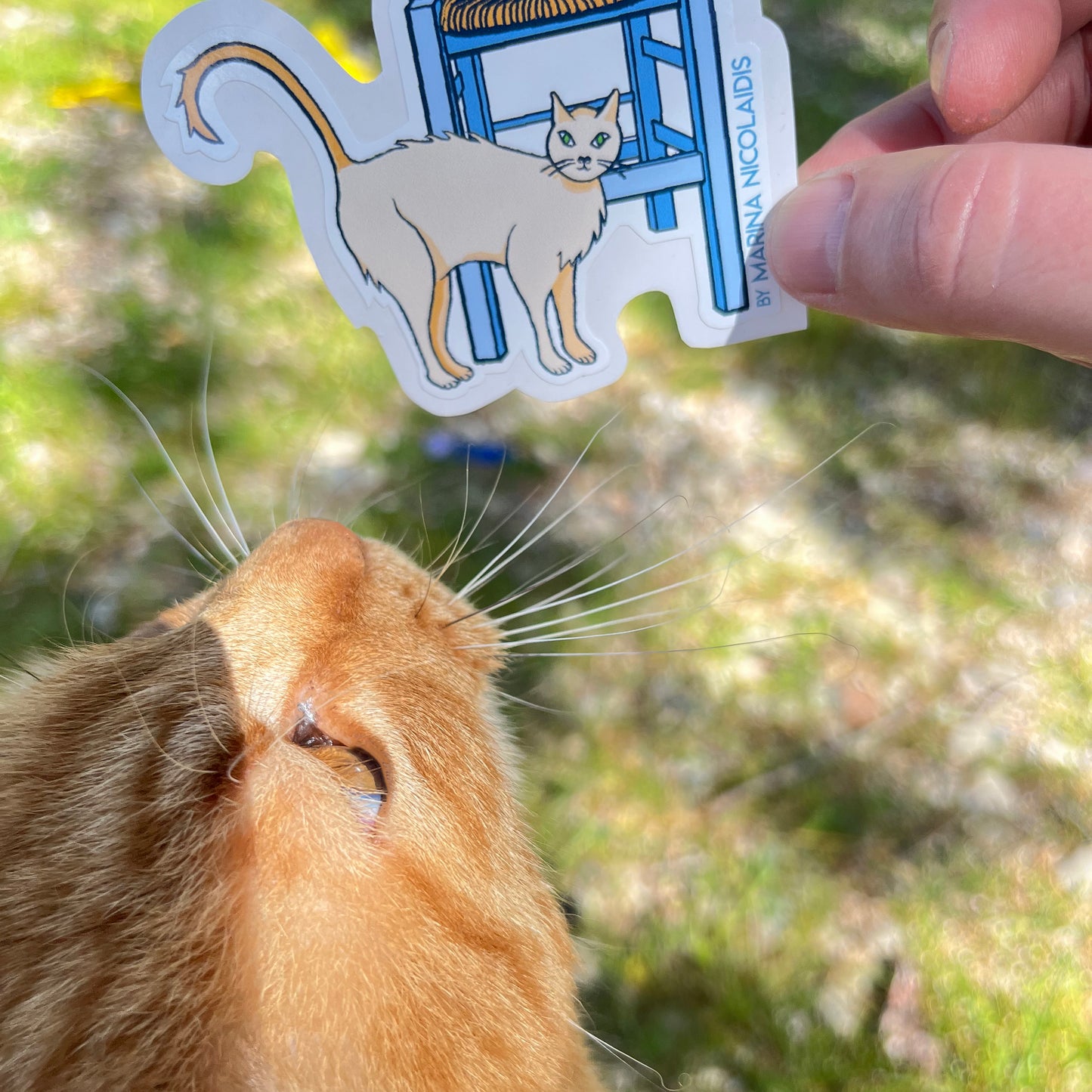 Greek cat sticker