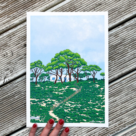 House in the pine forest