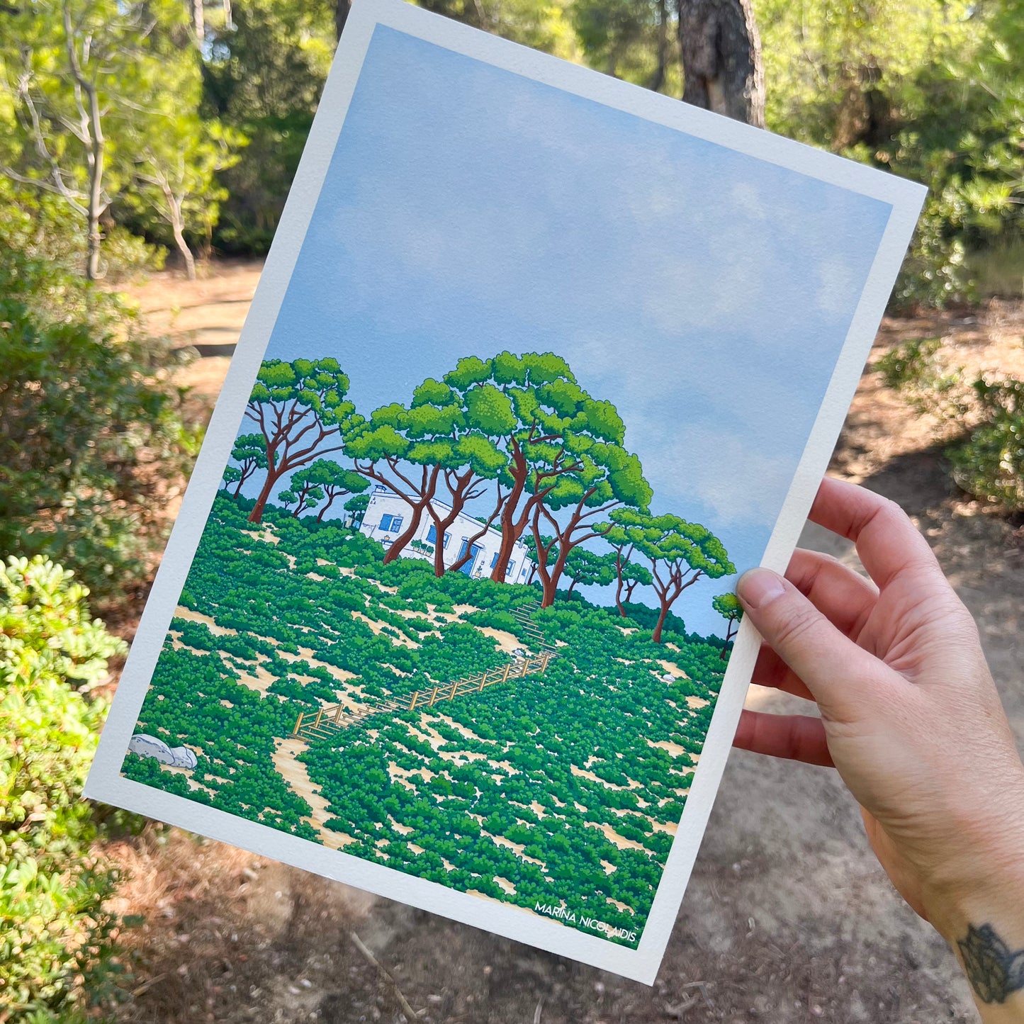 House in the pine forest