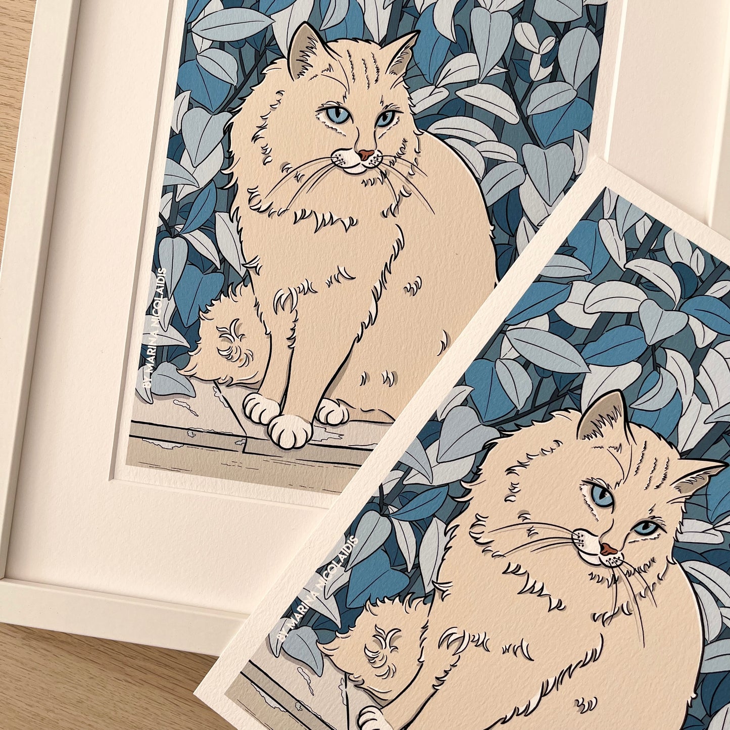 Angora Cat art print