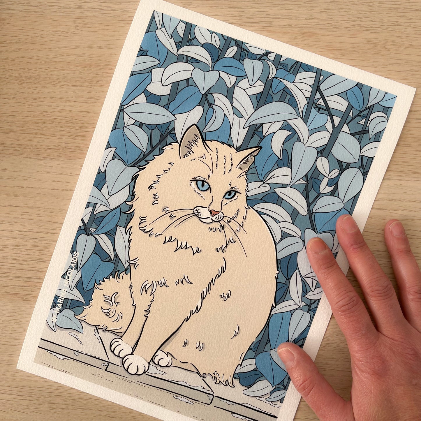 Angora Cat art print