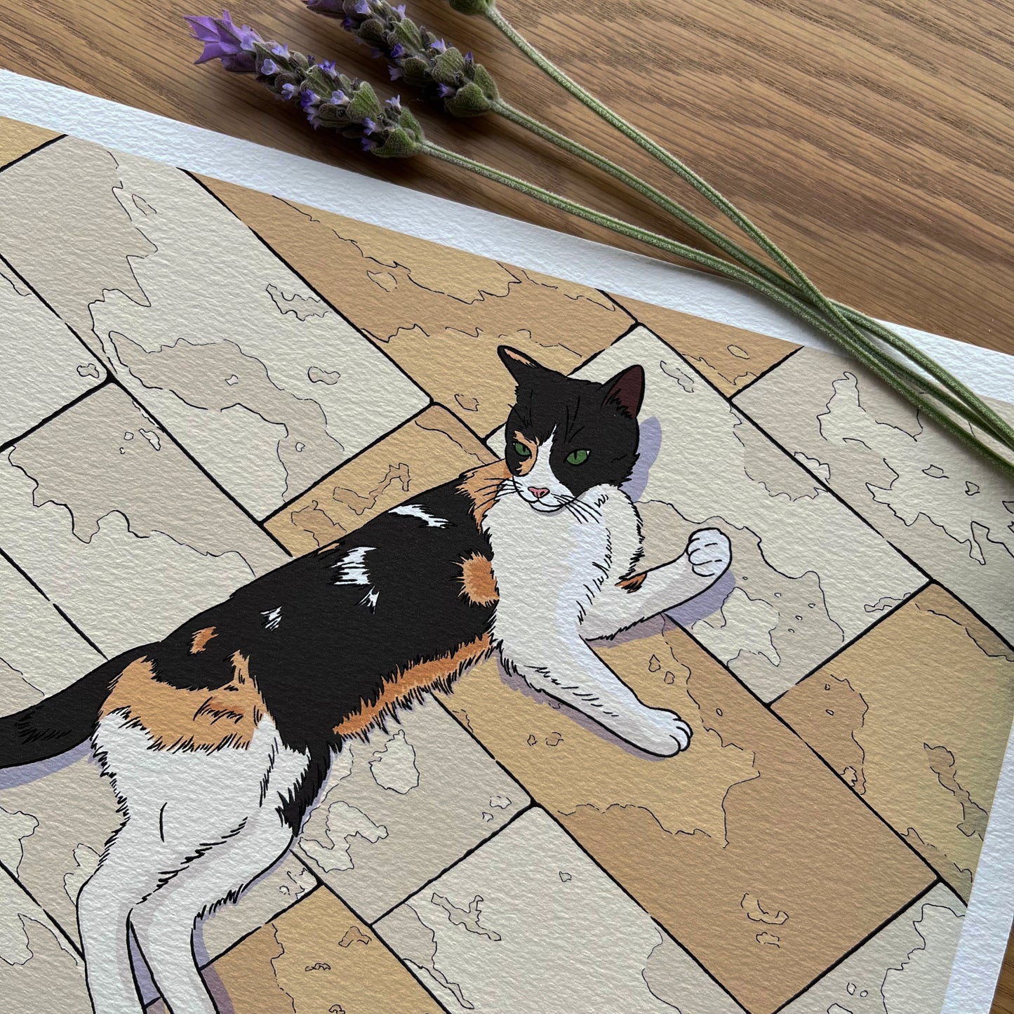 Greek Cat art print