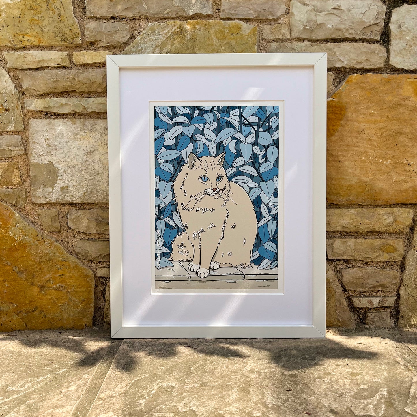 Angora Cat art print