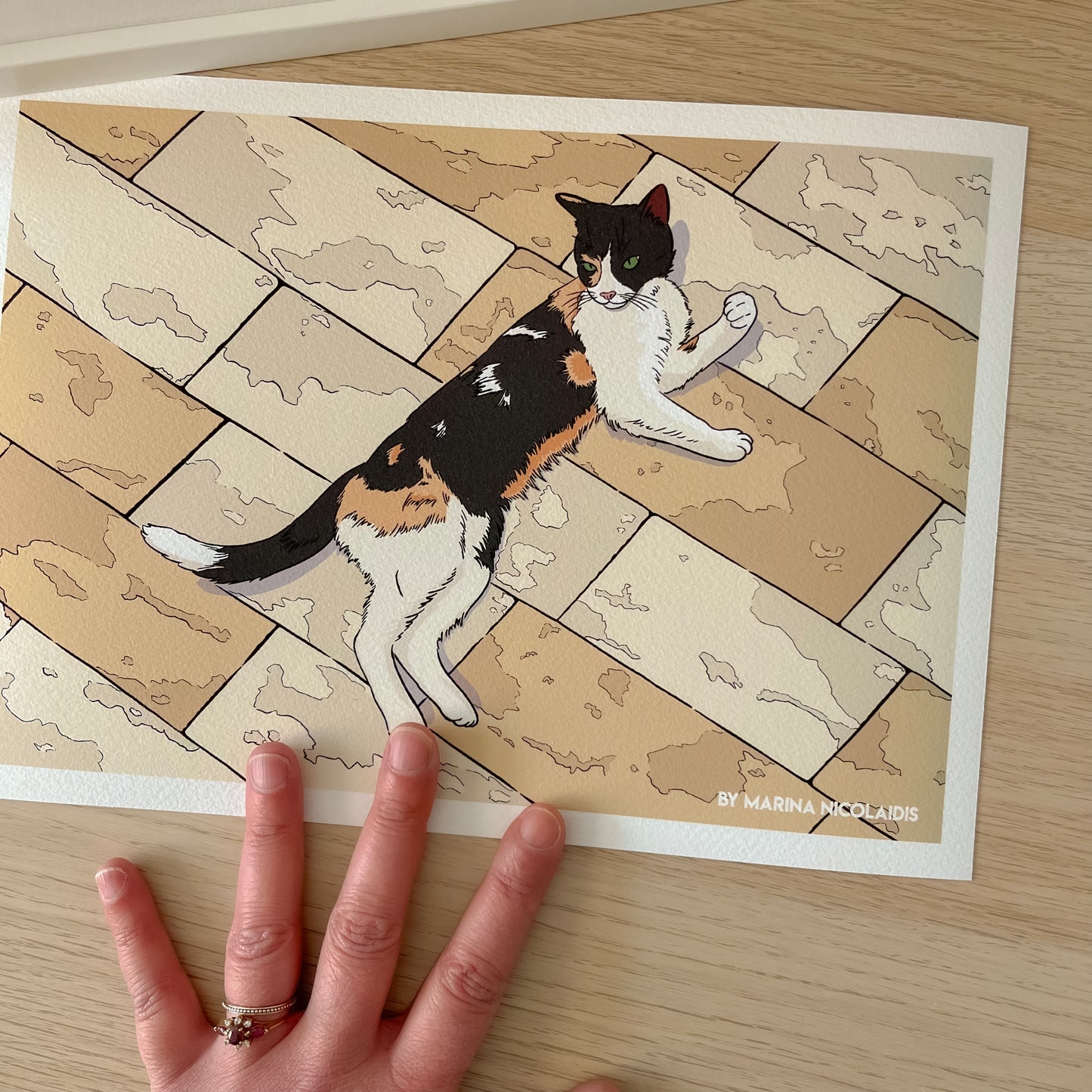 Greek Cat art print