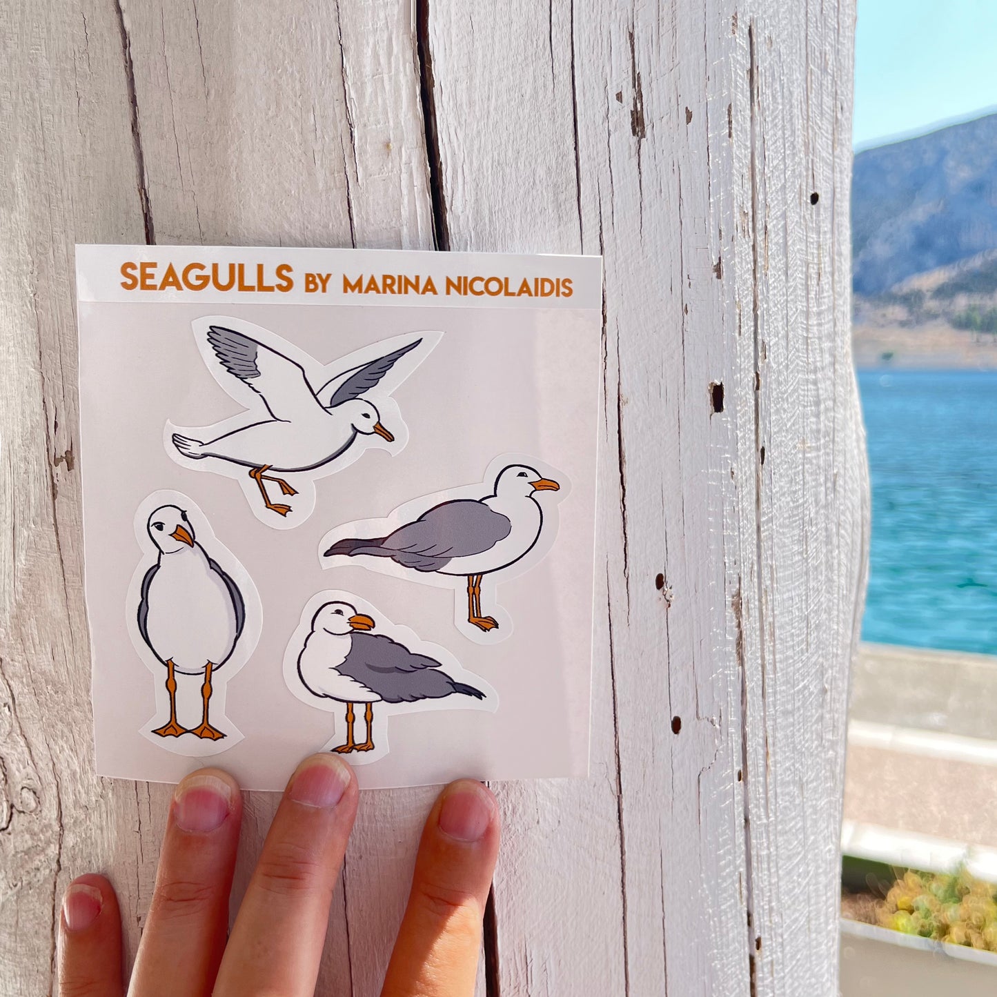 Seagulls 4 stickers