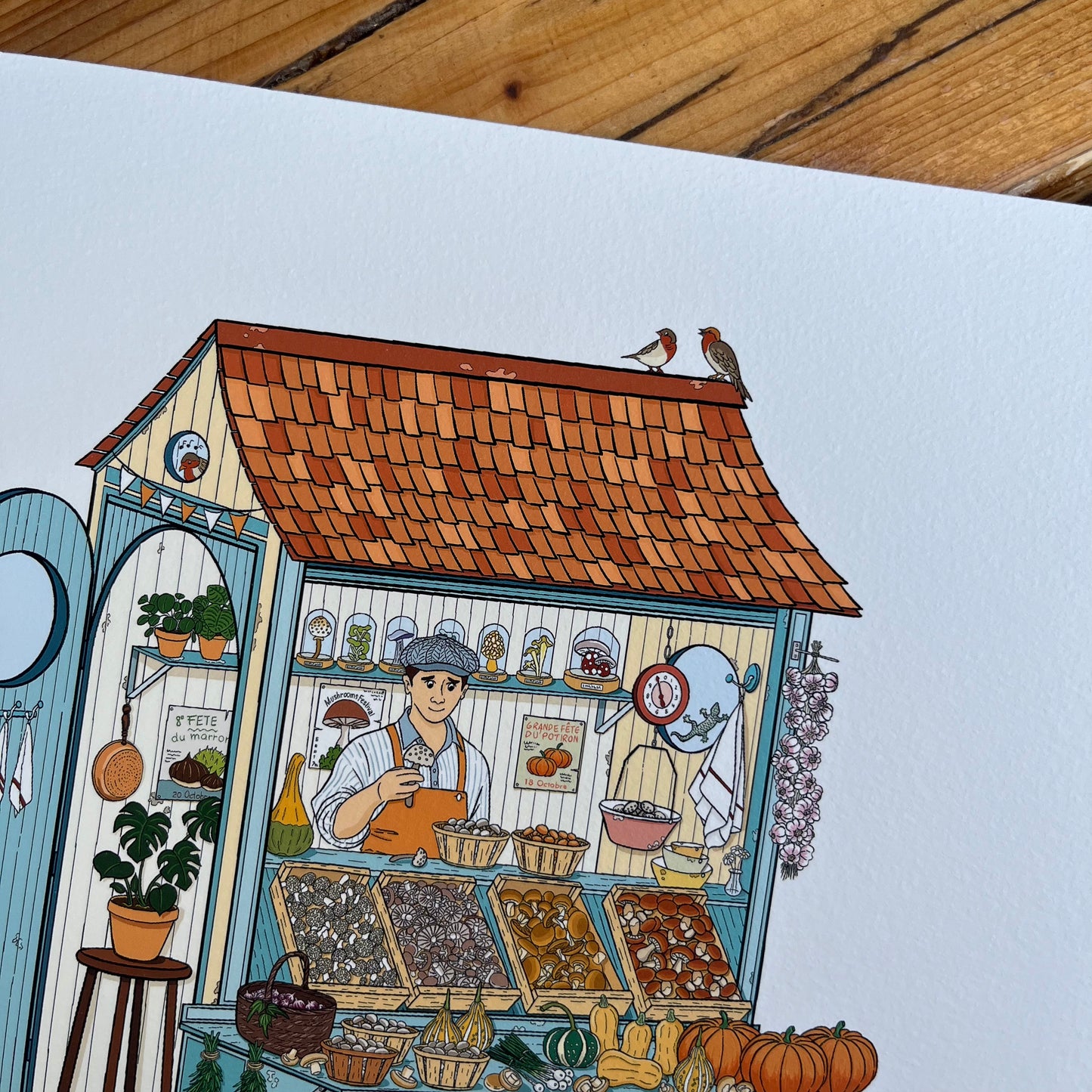 The mushrooms and pumpkins seller