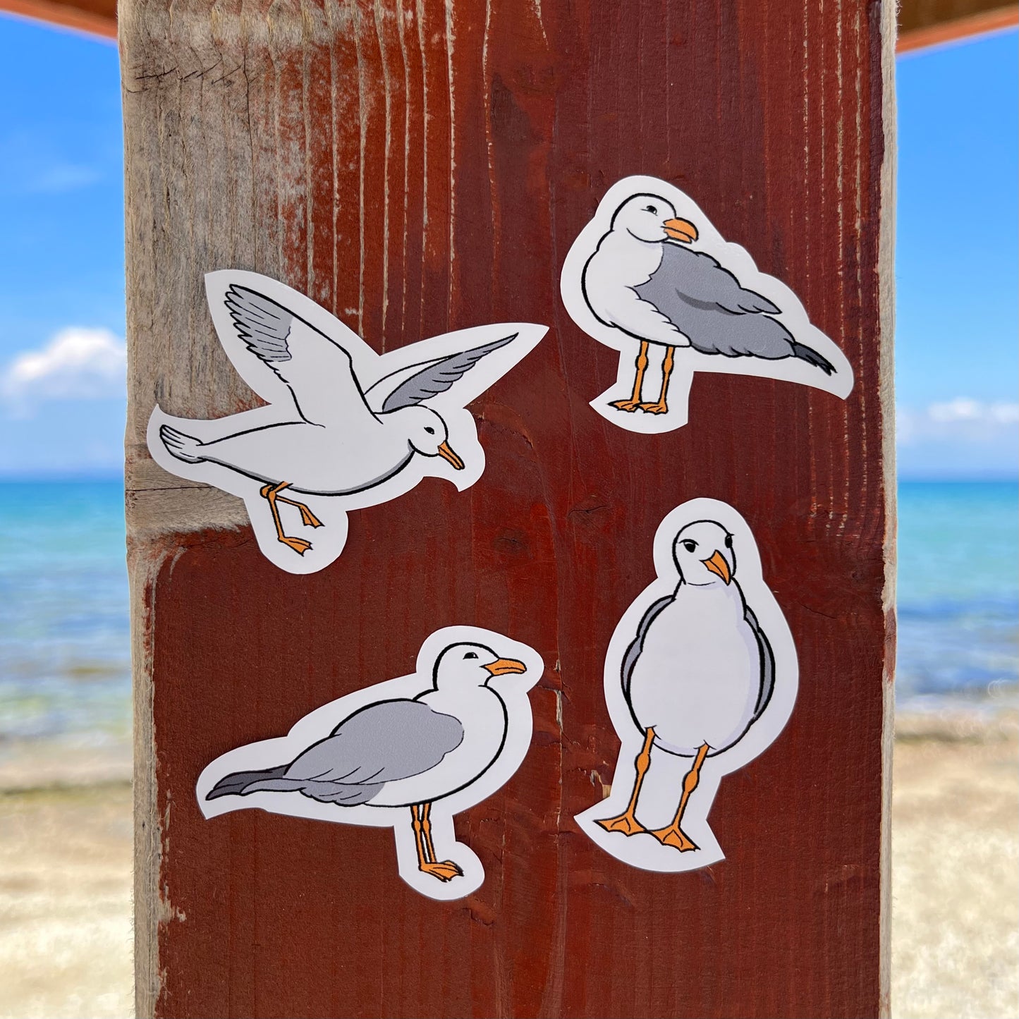 Seagulls 4 stickers