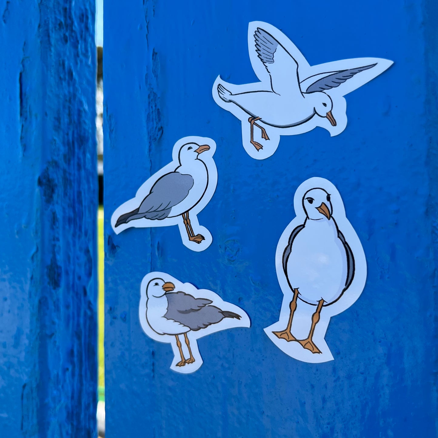 Seagulls 4 stickers