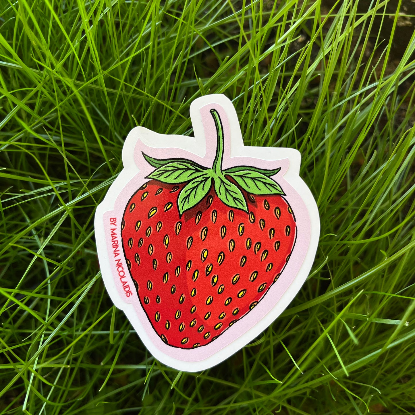 Strawberry, watermelon or cherry sticker